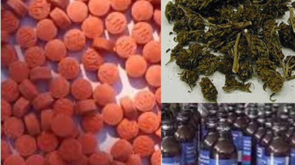 রামপালের গৌরম্ভা এখন মাদকের স্বর্গরাজ্য